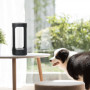 Умная ультрафиолетовая лампа для стерилизации Xiaomi Five Smart Sterilization Lamp, черный